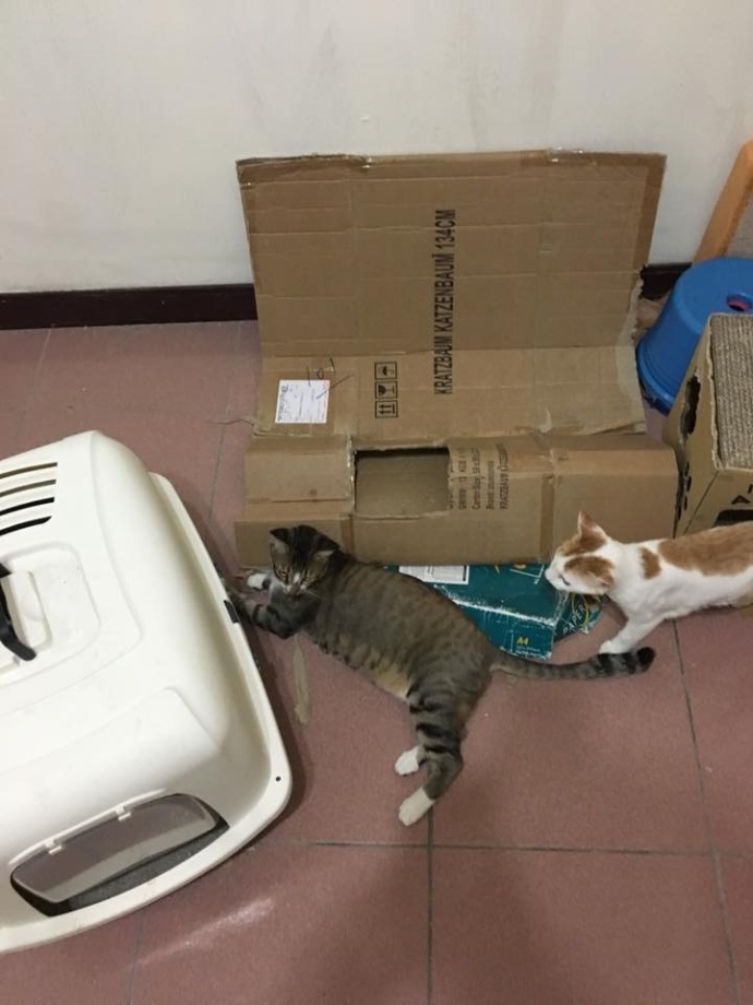 这个村一条秋裤卖全国闯出振兴路,厉害这个村凭一条虾走上了致富路