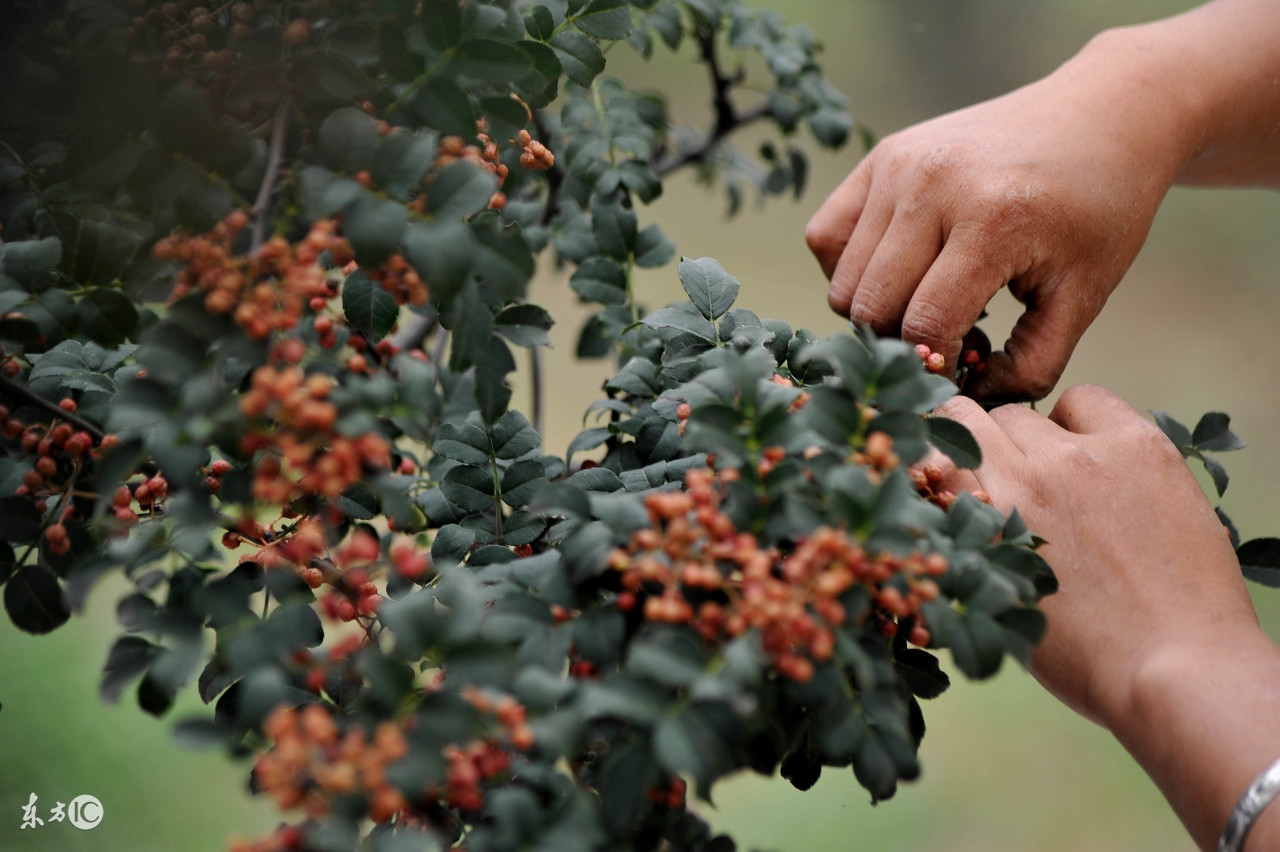 那些你想不到的小妙招,那些你想不到的生活小知识