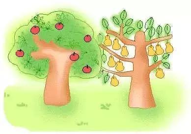 库尔勒香梨真假对照表,买到假的库尔勒香梨可以维权吗