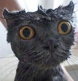 雨刷喷水器图解,雨刷器喷水调节到最佳位置