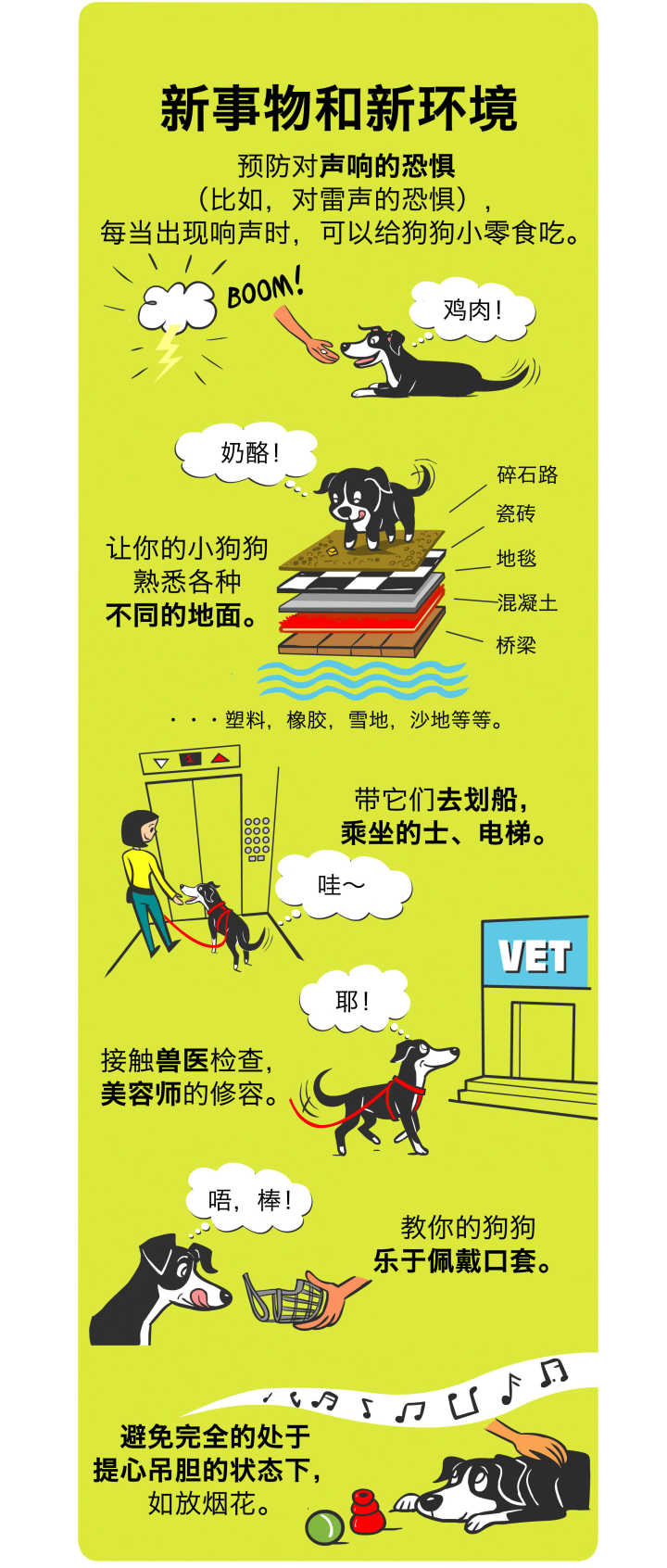 狗狗坏习惯的纠正训练,道格狗狗