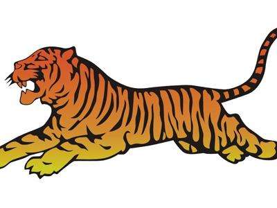 你身边有属虎的人,你身边有生肖虎的朋友吗