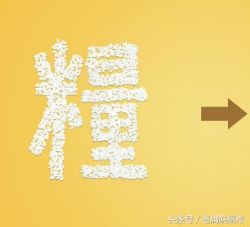 专科粮食工程,粮食工程和食品专业哪个好