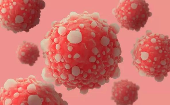 试谈中医对急性白血病的认识,白血病在真正的中医面前不堪一击