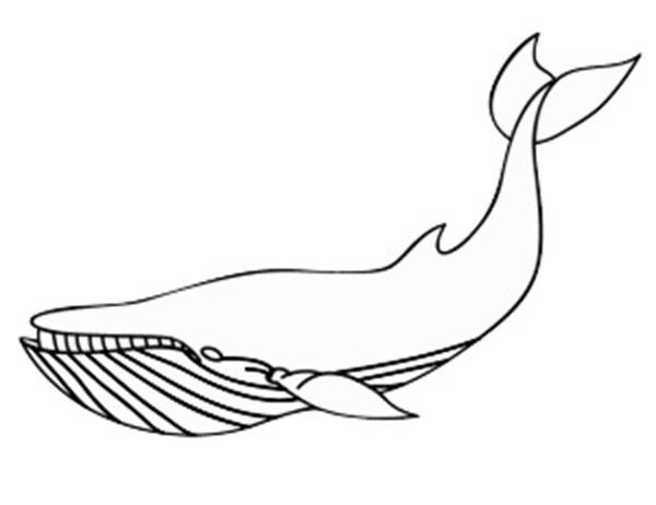 人鱼超萌简笔画教程简单,简笔画海洋生物简单的画法