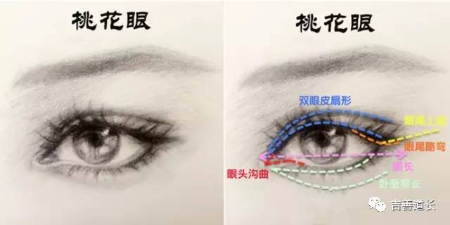 有桃花眼睛的人桃花运旺吗,桃花眼的女人命运到底怎么样