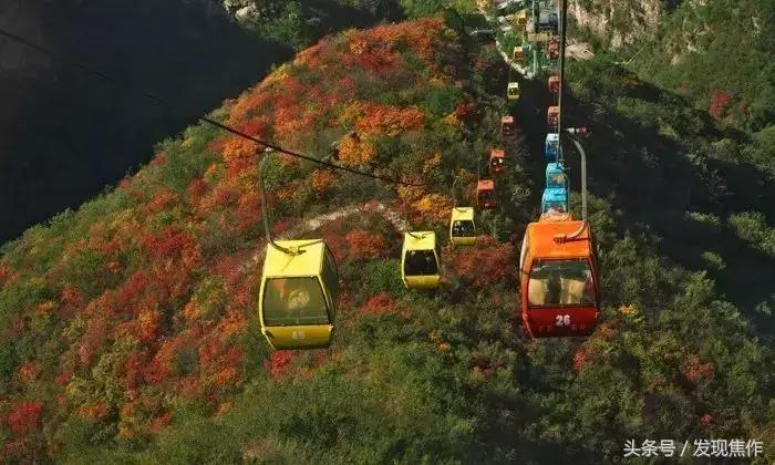 2016年焦作红叶节,焦作神农山红叶节