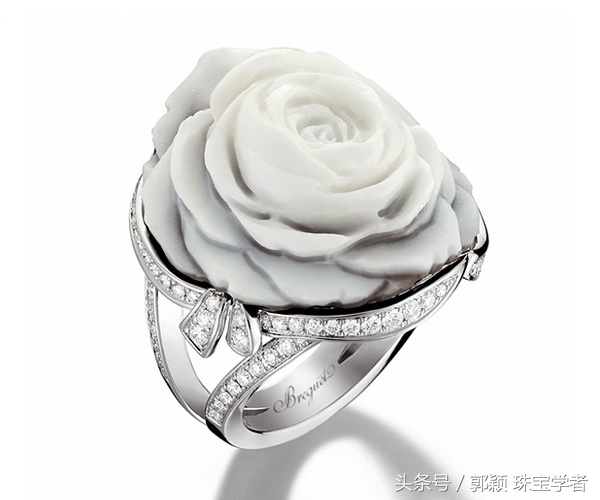 娴锋磱閲岀殑鍚勭缇庡懗铻冭煿,灏忕簿鐏靛悆铻冭煿