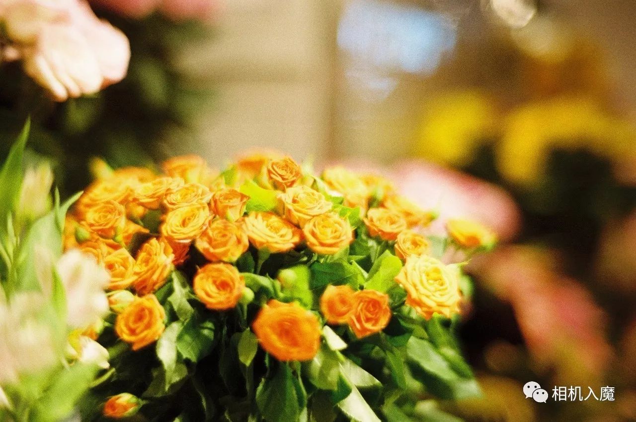 七工匠501.4怎么样,七工匠351.4实测