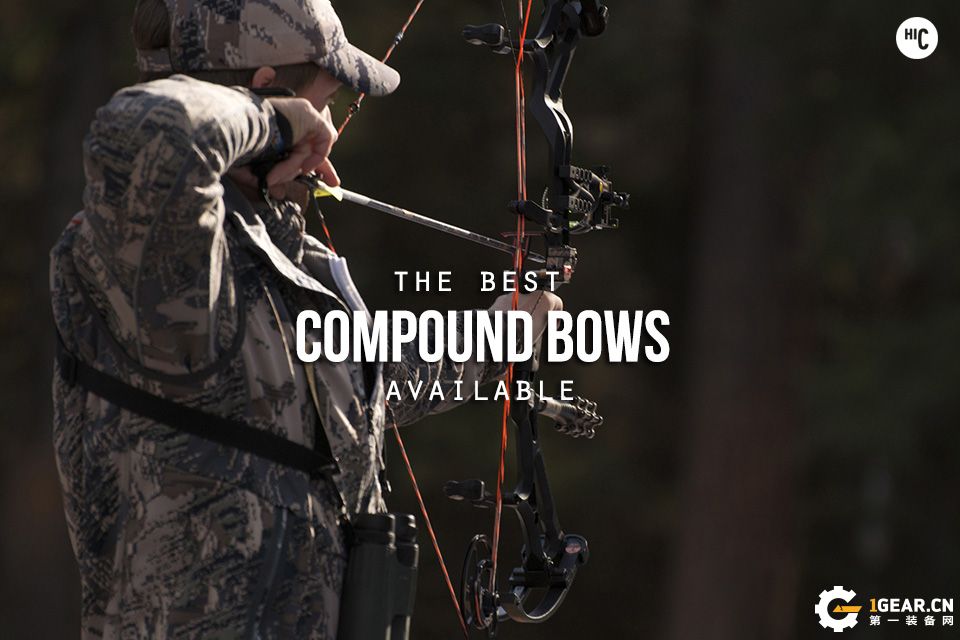 推荐一个新手也能打的准的复合弓,目前最强的复合弓
