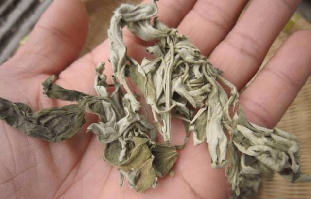 用艾草和姜煮水洗头,艾草浮萍煮水洗头发