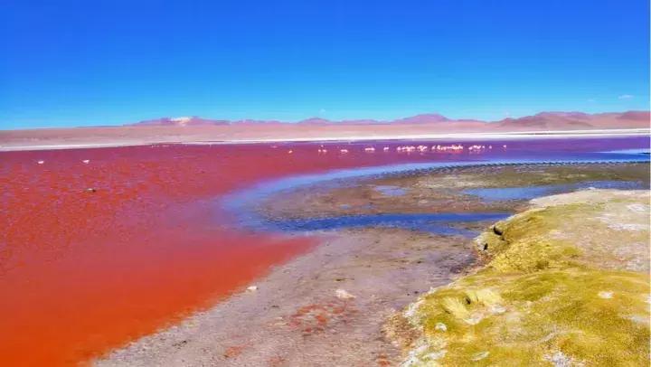自驾游穿越南美洲,玻利维亚旅行