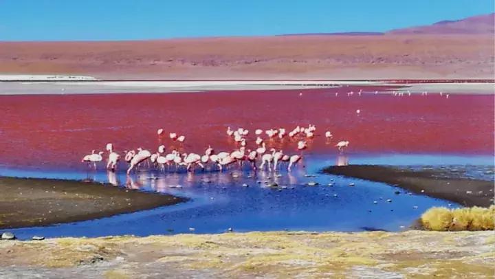 自驾游穿越南美洲,玻利维亚旅行