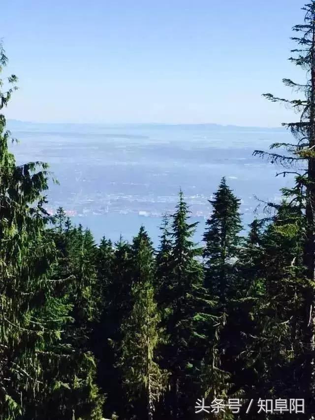 阜阳一90后小伙在枫叶国度加拿大坚持代购……