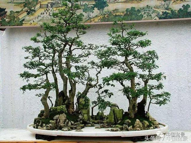 因香堂而雅集因雅仕更香堂