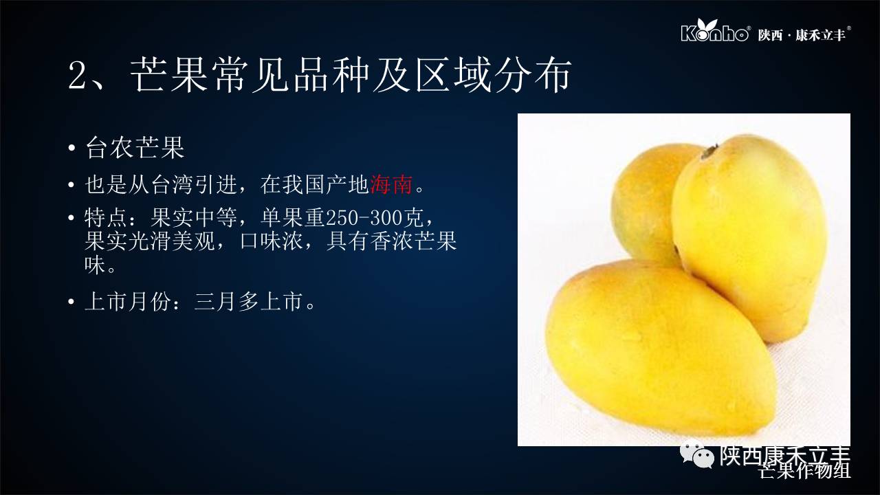 吃了不少的芒果会怎样,吃了一整个芒果会怎么样