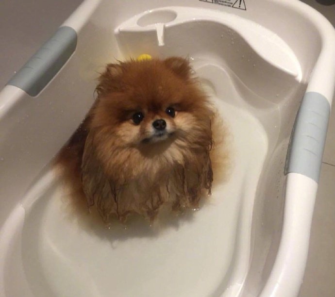 这个村一条秋裤卖全国闯出振兴路,厉害这个村凭一条虾走上了致富路