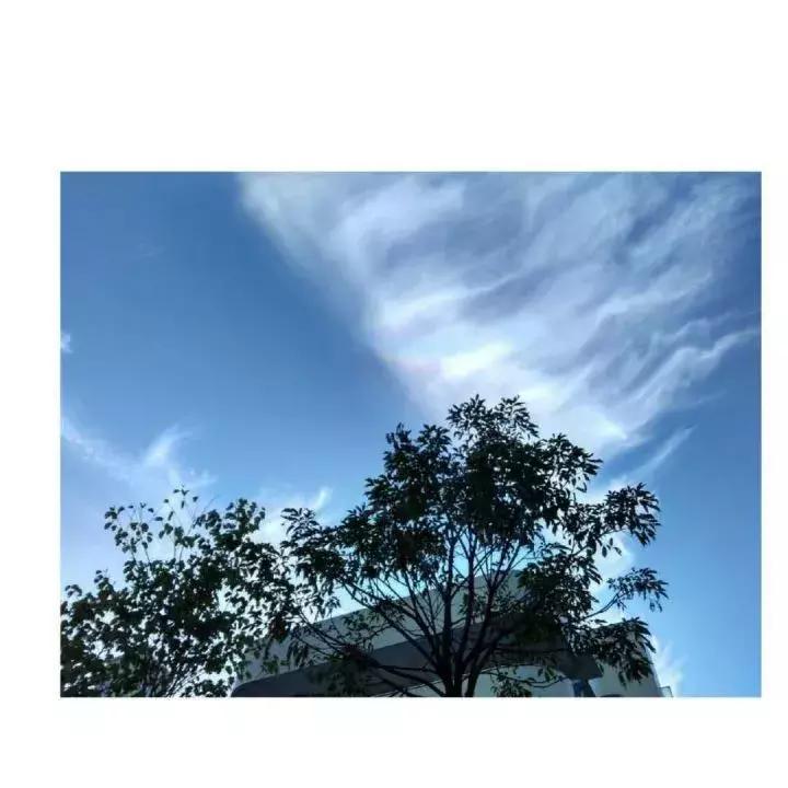 广州最美中学评选NO.10，你的母校排第几？