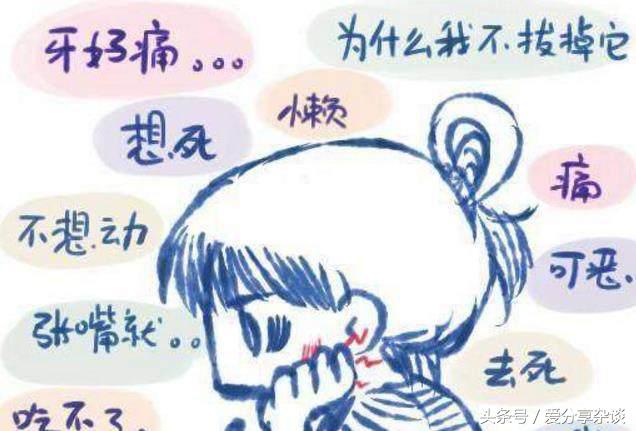 牙体疾病的诊断,牙病基础知识