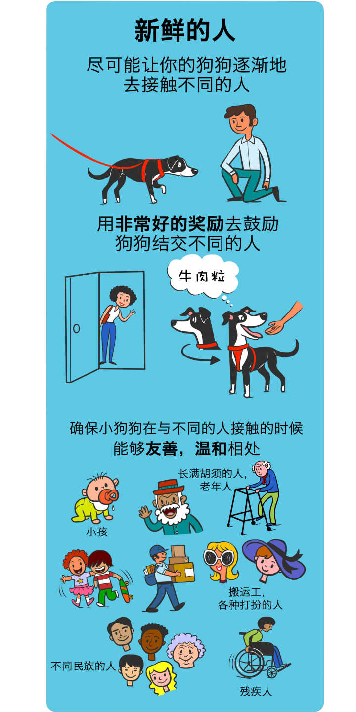 狗狗坏习惯的纠正训练,道格狗狗