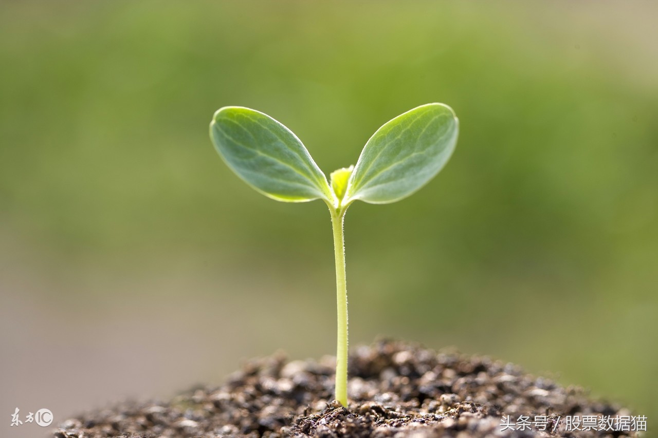 别的股票大涨自己的股票不涨,别人的股票一直涨我的股票一直跌