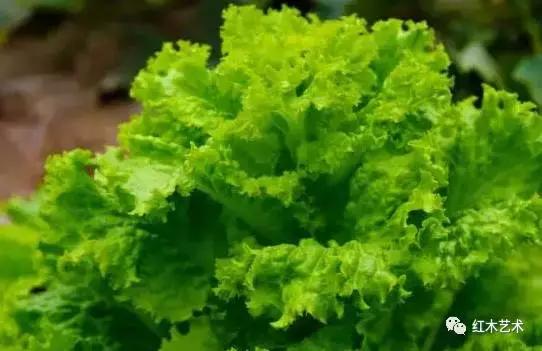 菜叶子修复开裂的木雕,木雕开裂打磨