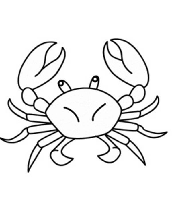 人鱼超萌简笔画教程简单,简笔画海洋生物简单的画法