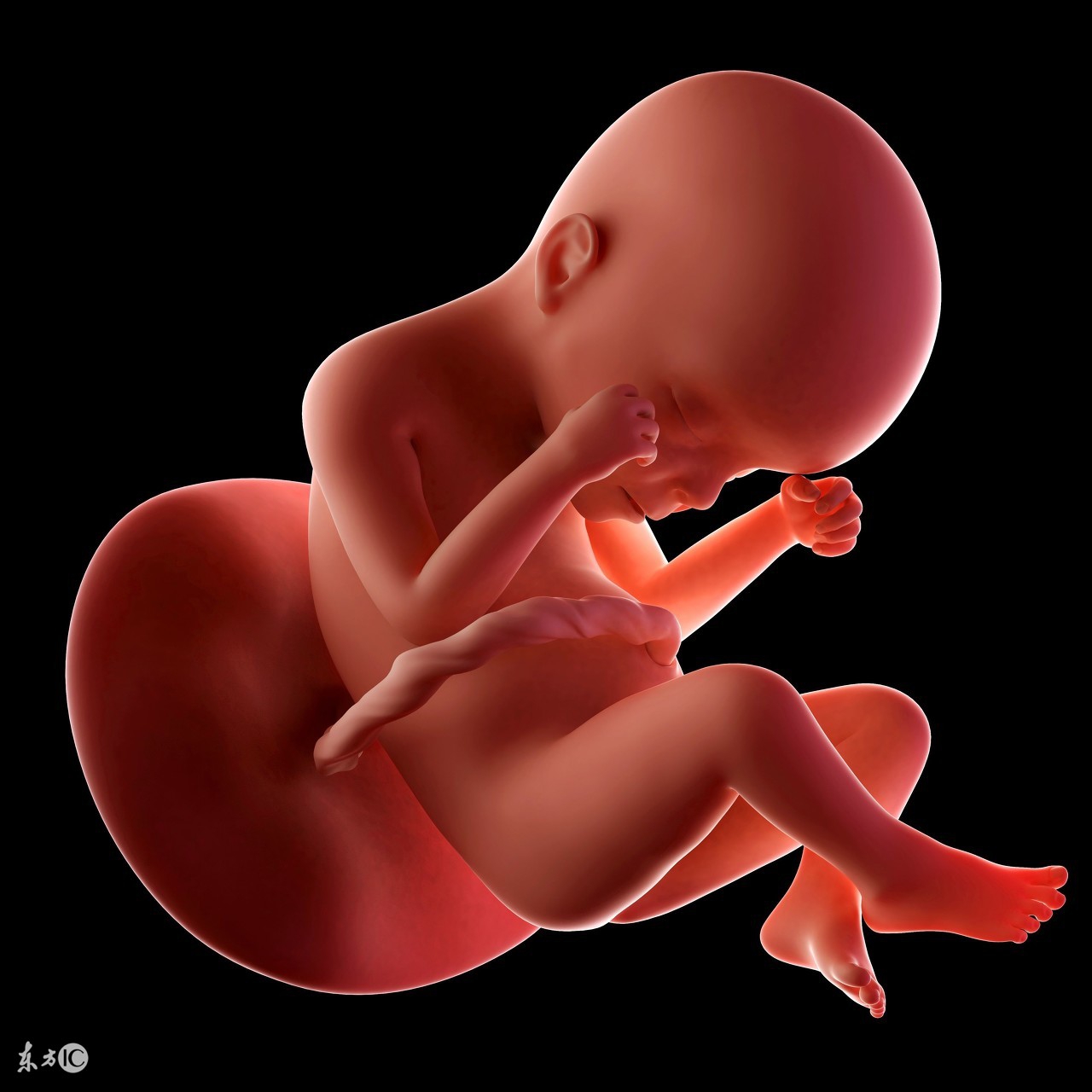 胎儿心包积液能生吗,胎儿胸腔积液可以生吗