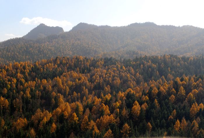 山西方山县旅游景点,山西省方山县旅游景点有哪些