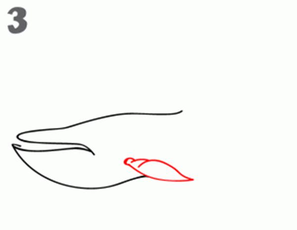 人鱼超萌简笔画教程简单,简笔画海洋生物简单的画法