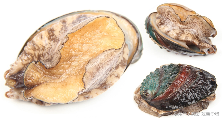 娴锋磱閲岀殑鍚勭缇庡懗铻冭煿,灏忕簿鐏靛悆铻冭煿