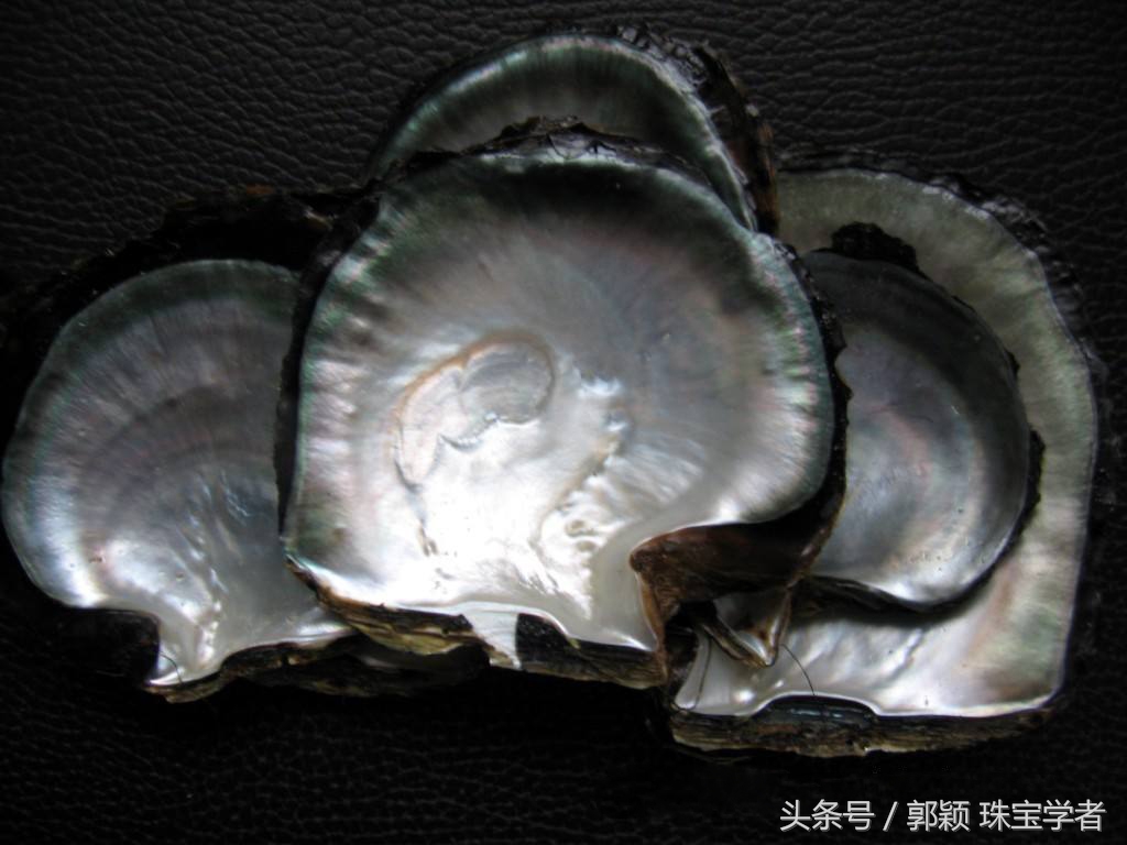 娴锋磱閲岀殑鍚勭缇庡懗铻冭煿,灏忕簿鐏靛悆铻冭煿