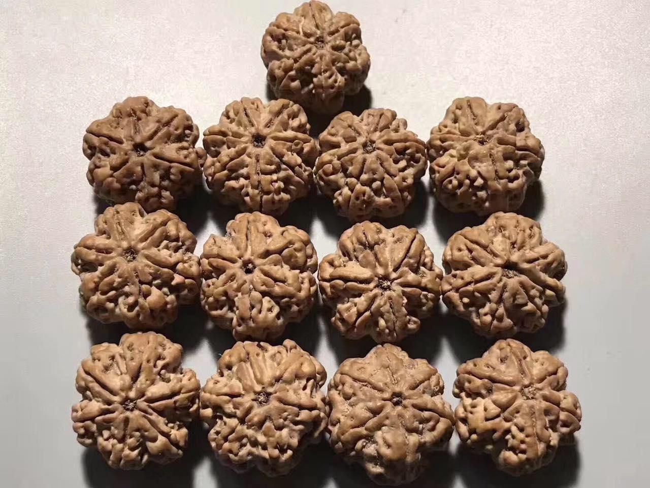 尼泊尔大金刚菩提手串怎么看好坏,大金刚菩提五瓣尼泊尔籽高油高密