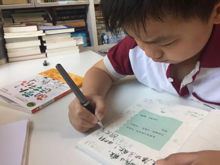 北大附小幼儿园,北大附小入学条件