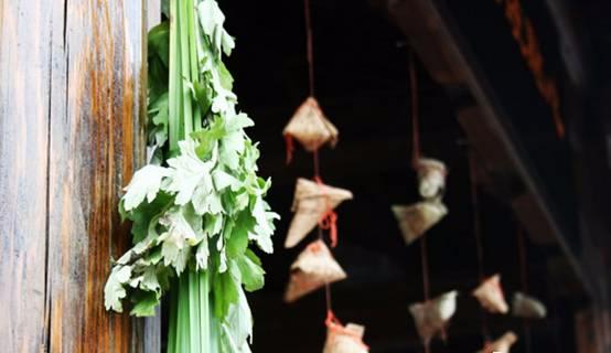 用艾草和姜煮水洗头,艾草浮萍煮水洗头发