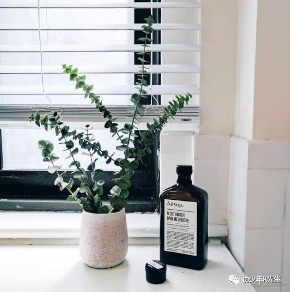 种草清单Vol.19丨几百块的小物件藏着提升幸福感的小秘密（下）