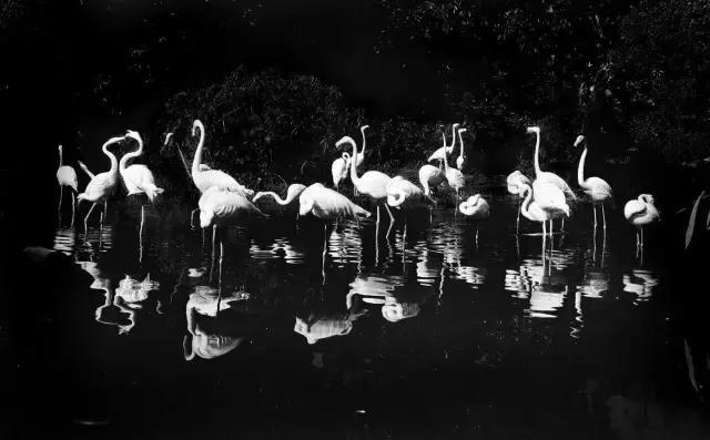 手机摄影课程安排表,手机摄影中级班免费全套课程