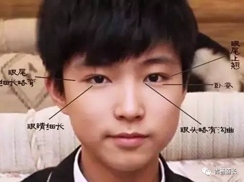 有桃花眼睛的人桃花运旺吗,桃花眼的女人命运到底怎么样