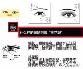 有桃花眼睛的人桃花运旺吗,桃花眼的女人命运到底怎么样