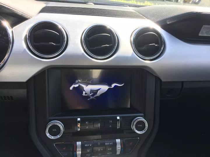 北美野马,北美福特野马