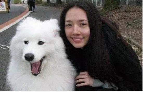 萨摩耶怎么训练狗不乱咬东西,怎样才能让萨摩耶咬狗