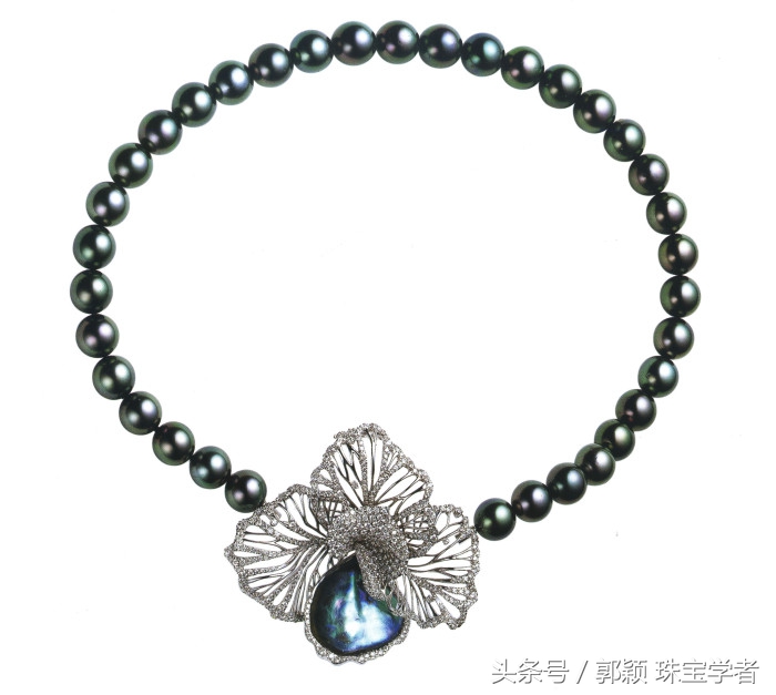 娴锋磱閲岀殑鍚勭缇庡懗铻冭煿,灏忕簿鐏靛悆铻冭煿