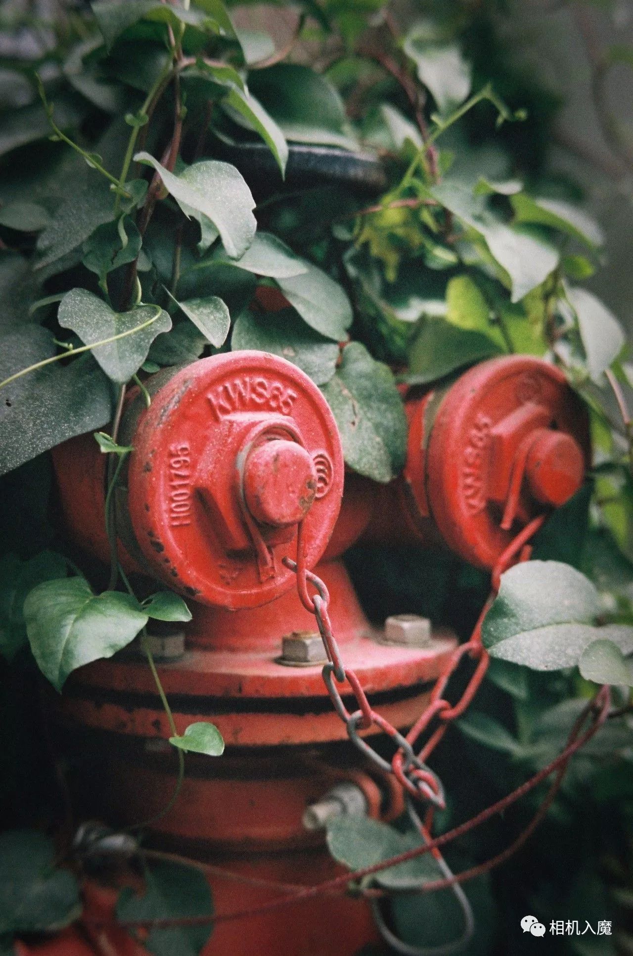 七工匠501.4怎么样,七工匠351.4实测