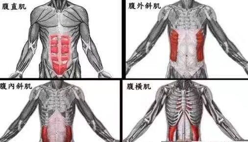 平板支撑一分钟练出腹肌,平板支撑怎样锻炼腹肌