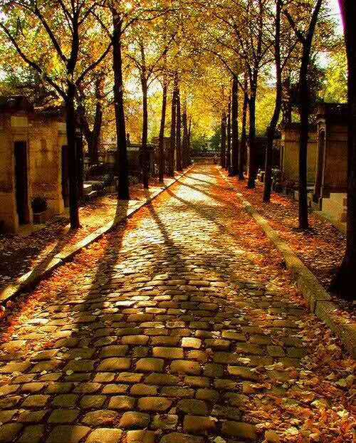 厚黑之道易而难,厚黑处世智慧全集