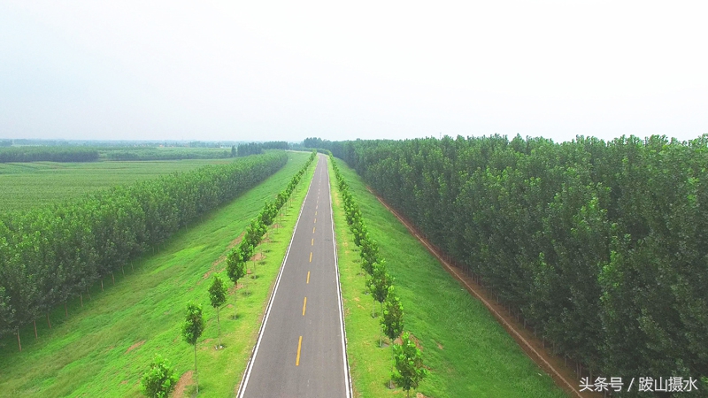 黄河入海的壮观景象航拍,航拍黄河瀑布全景图