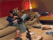 国庆去了趟迪拜,发现有钱人都在喝这个