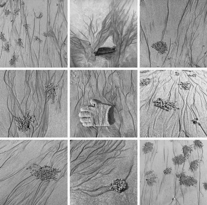 用九宫格揭密真实的故事,有故事的九宫格
