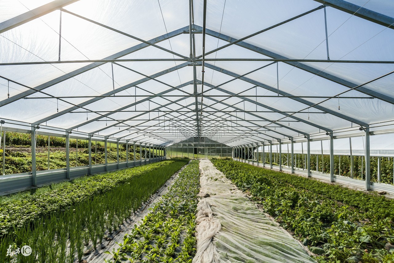 互联网轻资产创业项目有哪些,互联网创业项目推荐2022