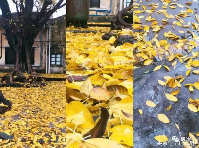 在地产行业5年,在房地产行业能干一辈子吗